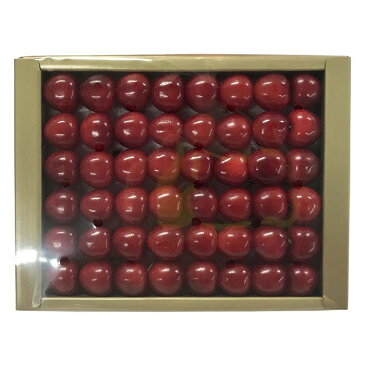 【送料無料】長野県産 さくらんぼ 紅秀峰 Lサイズ 48粒入り(化粧箱)