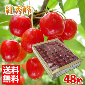 【送料無料】長野県産 さくらんぼ 紅秀峰 Lサイズ 48粒入り(化粧箱)