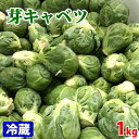 オーストラリア産　芽キャベツ　1kg（袋） サラダや肉料理なのどの付け合せなど幅広い料理にお使いいただけます。 ※入荷時期によってメキシコ産など産地変更になる場合があります。 商品詳細 商品名（名称） 芽キャベツ 内容量 約1kg（袋入） 産地 オーストラリア 販売期間 3月〜9月 発送方法 冷蔵便 同梱不可 常温・冷凍の商品との同梱はできません。