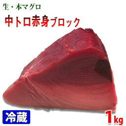 生・本マグロ　中トロ・赤身ブロック　約1kg　国産・養殖 （血合い・皮取り） 背側