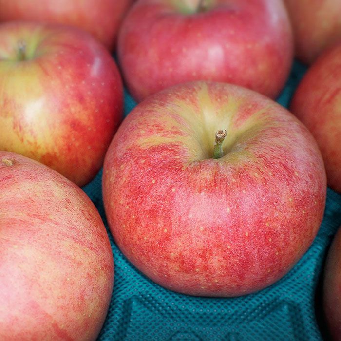 【送料無料】青森県産　りんご　ジョナゴールド　36玉サイズ　10kg（CA貯蔵）