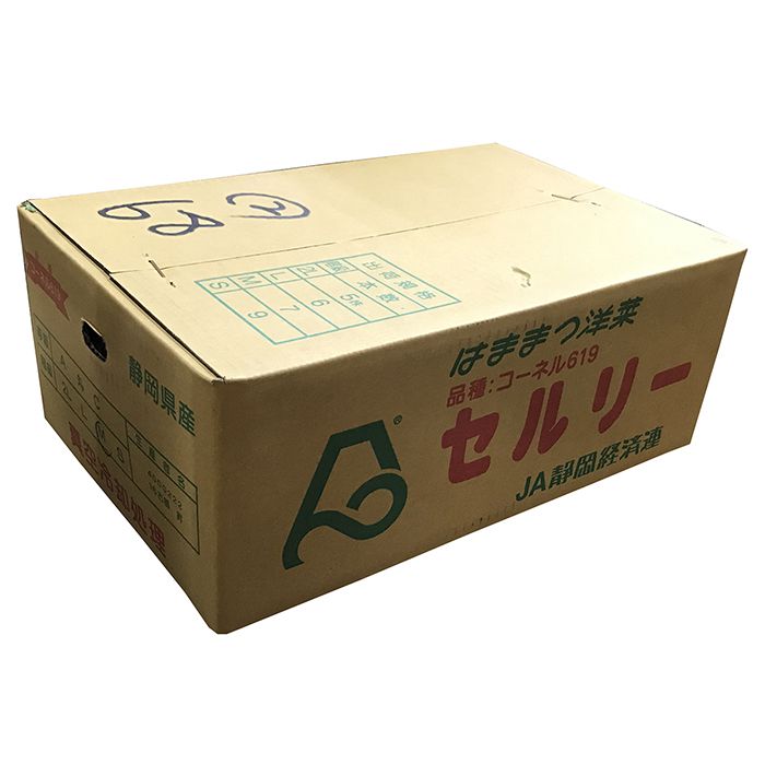 【送料無料】静岡県産セルリー(セロリ)L~2Lサイズ5~6束入り箱