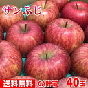 りんご 【送料無料】青森県産　サンふじりんご　等級A・40玉入り　10kg（貯蔵）