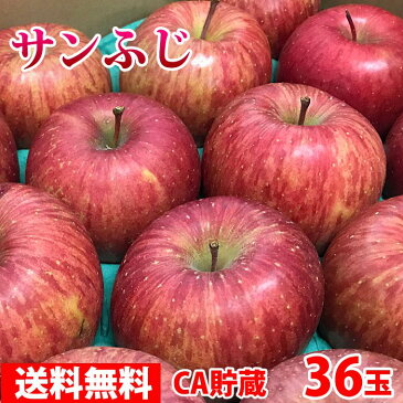 【送料無料】青森県産 サンふじりんご 等級A・36玉入り 10kg(CA貯蔵)