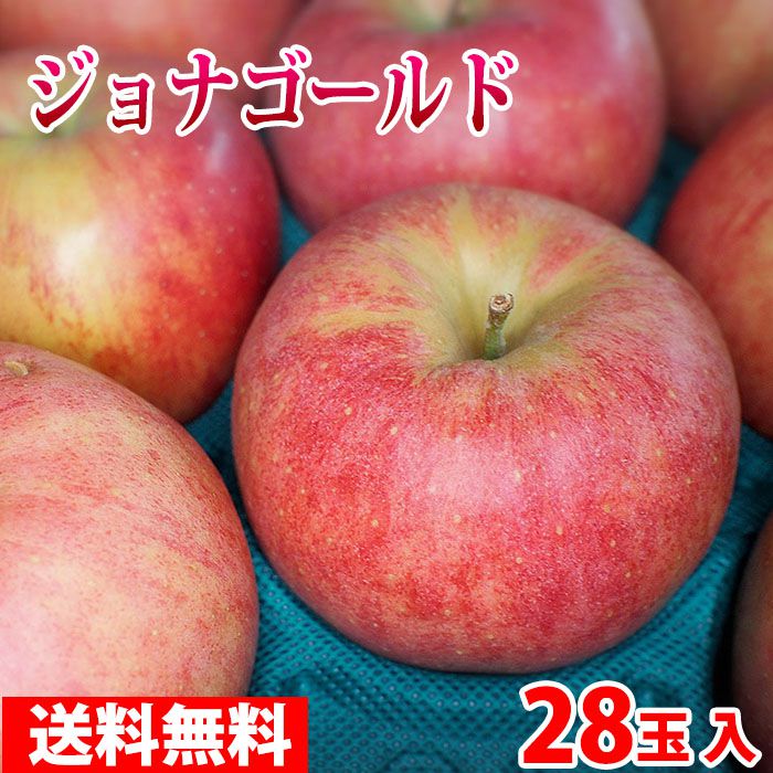 【送料無料】青森県産　りんご　ジョナゴールド　28玉サイズ　10kg（CA貯蔵）