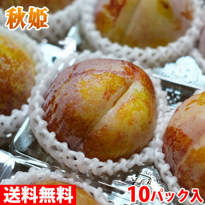 【送料無料】長野県産　プラム　秋姫　2L〜4Lサイズ　10パック入り（箱）