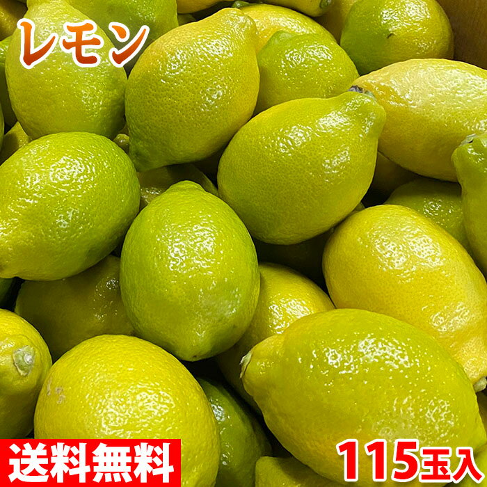 【送料無料】 チリ産　レモン　約115玉入り （箱）