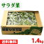 【送料無料】福岡県産　サラダ菜　約1.4kg（12株入り）箱