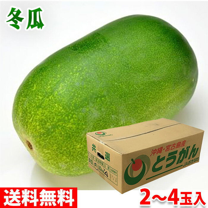 【送料無料】 沖縄県産　冬瓜（とうがん）　秀品　2～4玉入　10kg箱のサムネイル