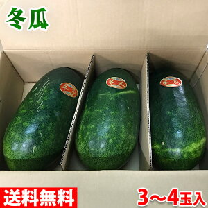 【送料無料】岡山県産　冬瓜（とうがん） 秀品　3〜4玉入　約10kg （箱）