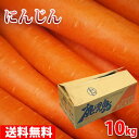 【送料無料】鹿児島県産　人参（にんじん）A等級　2L～3Lサイズ　10kg（箱）