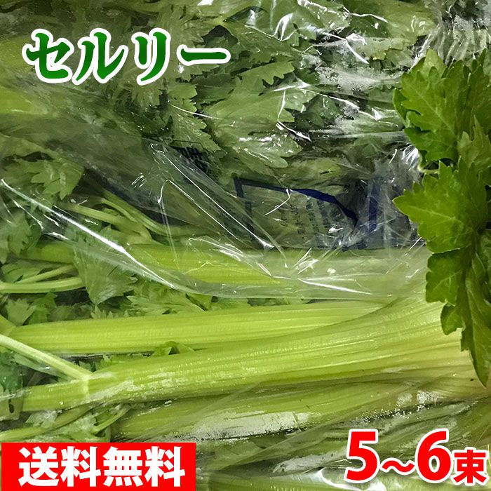 静岡県産　セルリー（セロリ）L〜2Lサイズ　5〜6束入り シャキシャキした食感と独特の香りが特徴のセルリー（セロリ）。 静岡県は浜松市を中心に全国でもトップクラスのセルリーの一大産地です。 冬場（12〜5月）のセルリーは静岡・浜松が全国トップの生産量を誇ります。 なお、夏場（5〜11月）は長野県産が主流となります。 カロテンを多く含み、ビタミンA，B1、B2、カルシウム、鉄などのミネラルと食物繊維も豊富で栄養満点の葉物野菜です。 商品詳細 商品名（名称） セルリー（セロリ） 規格・サイズ 秀品　L〜2Lサイズ 内容量 5束〜6束入り（1箱） 産地 静岡県 販売期間 12月〜5月 発送方法 冷蔵便 同梱不可 常温・冷凍の商品との同梱はできません。