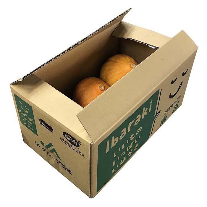 クセがなく淡白な味わいの黄色かぼちゃ 茨城県産 生食用かぼちゃ 高級品市場 1箱 コリンキー 5~7玉入り クセがなく淡白な味わいの黄色かぼちゃ 茨城県産 生食用かぼちゃ 高級品市場 1箱 コリンキー 5~7玉入り