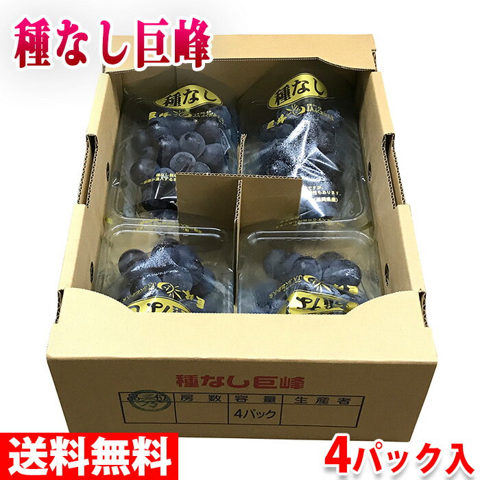 【福岡巨峰】福岡産で甘くて美味しい巨峰のおすすめは？