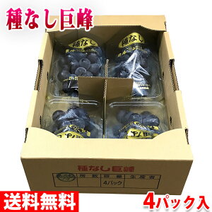 【送料無料】福岡県産　種なし巨峰　秀品　4パック入り（1箱）