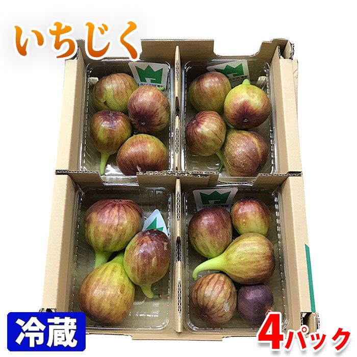 愛知県産　いちじく（無花果）3〜5玉入り×4パック／箱