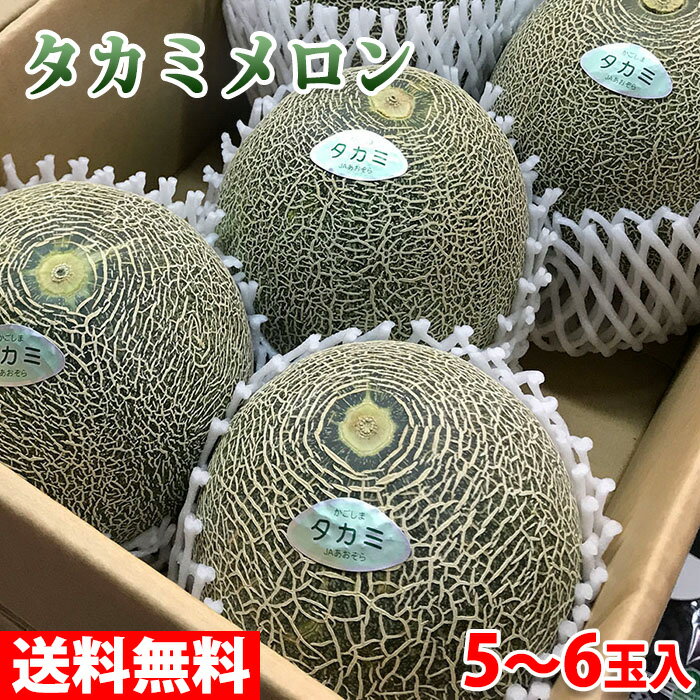 【送料無料】 茨城県産 タカミメロン 貴美メロン 秀品 LA～2Lサイズ 5～6玉入り 箱 