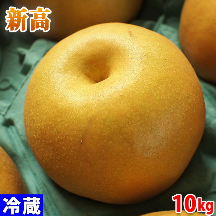 栃木県産　梨　新高　秀品　18〜24玉入り　10kg （箱）