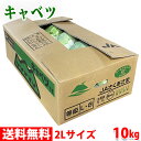 【送料無料】長野県産　キャベツ　秀品　2Lサイズ　6～7玉入　10kg