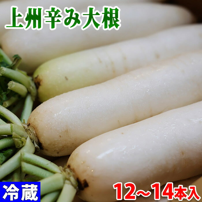 群馬県産 上州辛み大根 A等級 M〜Lサイズ(12〜14本入)箱