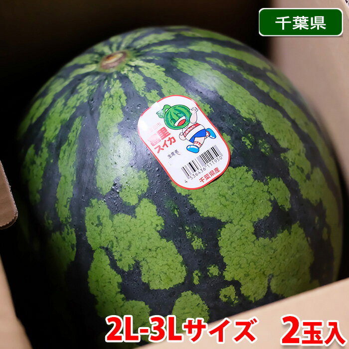 【送料無料】 千葉県産　富里すいか　A等級　2L〜3Lサイズ　2玉入り （箱）のサムネイル
