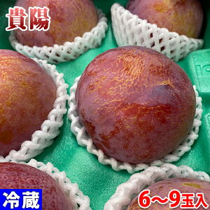 長野県産　プラム　貴陽　秀品　6～9玉入り　約1.5kg （箱）