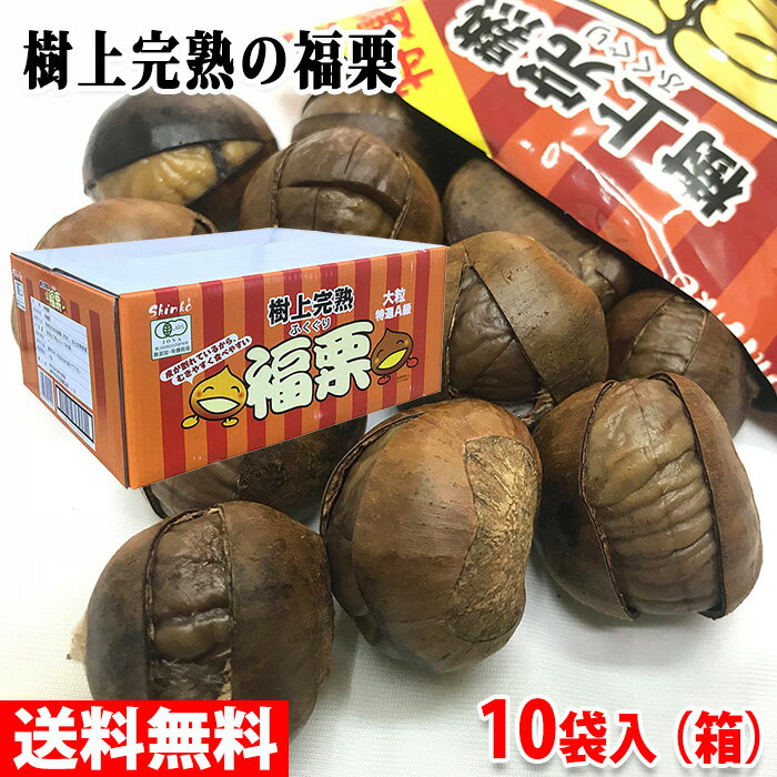 まとめ買い（8袋）【グローバル オーガニック焼まろん 50g ×8袋】 焼き栗の皮を丁寧にむいたレトルトタイプ 京都 比沙家 栗 焼き栗 有機栗 マロン レトルト 料理に おつまみに おやつに 高級 ご褒美 おしゃれ 保存食 お茶うけに お配りもの お持たせ ご当地