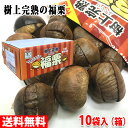 【送料無料】 神光商事 樹上完熟 福栗 2袋入り(100g小袋×2入)×10パック(箱) 無添加 皮割れ 甘栗 セット おやつ スイーツ 和菓子