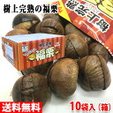 樹上完熟 福栗　(100g×2パック)×10袋入り箱 皮を割れ加工していますのでむきやすく食べやすい有機栗です。 最も熟した「樹上完熟」で甘みが最大限。 有機JAS認定を受けた工場で、徹底した品質管理、衛生管理のもと、ていねいに加工しています。 商品詳細 商品名（名称） 樹上完熟 福栗（有機焼き栗） 原材料名 有機栗 内容量 大粒特選A級　(100g×2パック)10袋入り／箱 栄養成分表示 （100g当り推定値） エネルギー 155kcal、たんぱく質 3.8g、脂質 0.5g、炭水化物 37.3g、食塩相当量 0g、葉酸 98μg 箱サイズ （約）32.5×40×17cm 保存方法 直射日光、高温多湿を避け常温で保存ください。 原産国 中国 輸入者 株式会社神光商事 発送方法 常温便 同梱不可 冷蔵・冷凍の商品との同梱はできません。