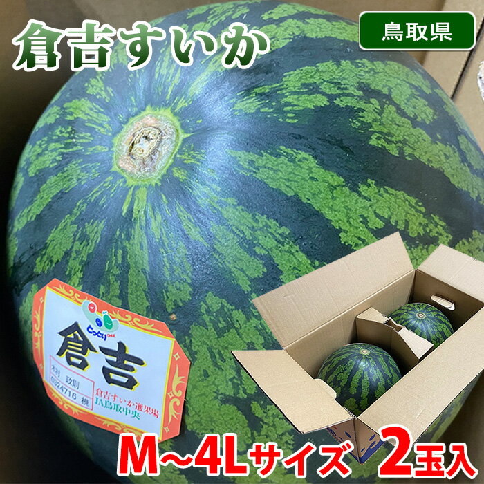 ̵Ļ踩ҵȤML2L3L4L祵2Ȣ