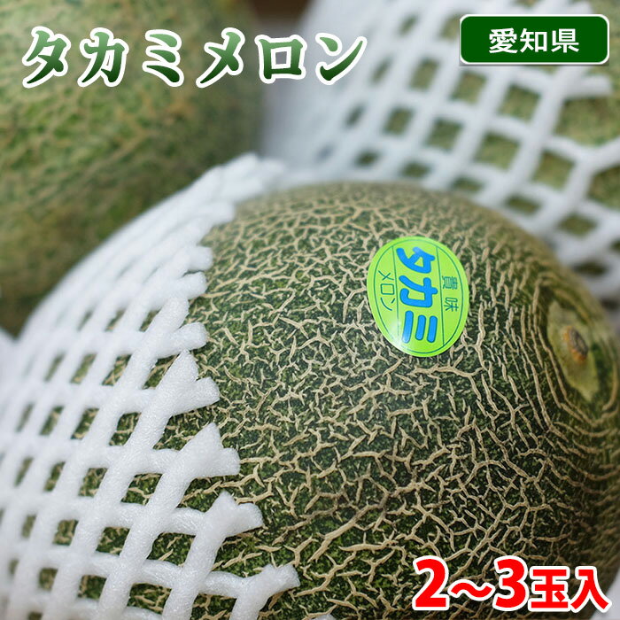 愛知県産　タカミメロン　秀品　4L～5Lサイズ　2～3玉入り （箱）のサムネイル