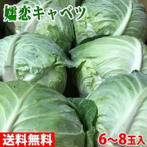 【送料無料】群馬県産　嬬恋（つまごい）キャベツ　6〜8玉入り／箱