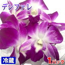 タイ産　デンファレ　飾蘭花　約8個　約40g （パック）