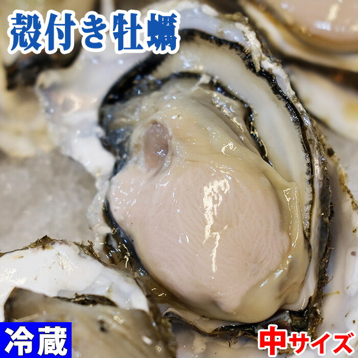 宮城県産他 養殖カキ (生食用殻付き) 中サイズ 100g前後/個 国産 牡蠣