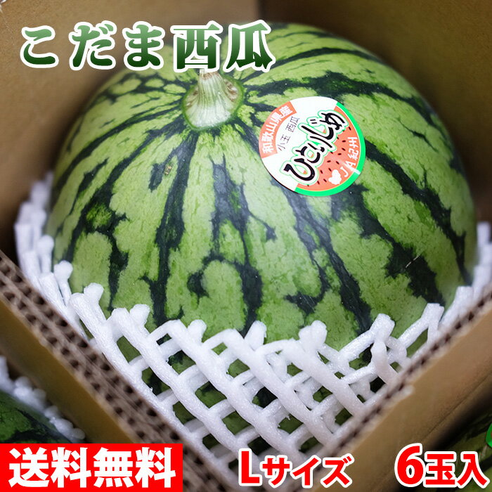 【送料無料】 和歌山県産 小玉すいか (こだま西瓜) 秀品 Lサイズ 6玉入り (箱)