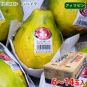 【送料無料】 スミフル フィリピン産 パパイヤ 6〜9玉入 / 10〜14玉入り (箱)