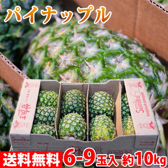 【送料無料】フィリピン産　甘熟王　パイナップル　6～9玉入り　約10kg （箱） スミフル パイン