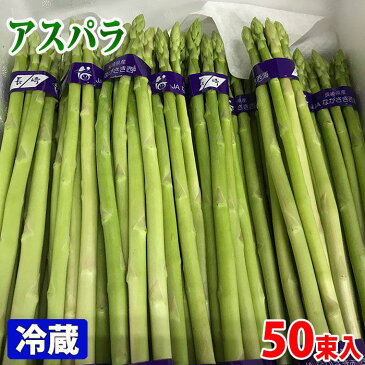 【送料無料】佐賀県産　グリーンアスパラガス　Lサイズ　100g×50束入り