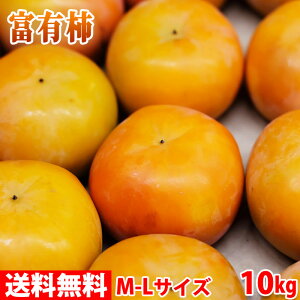 【送料無料】奈良県産　富有柿（ふゆがき）　秀品　M～Lサイズ　10kg