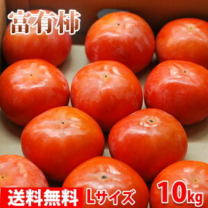 【送料無料】奈良県産　富有柿　秀品・L（約42玉入り）10kg箱