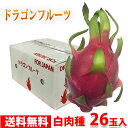 【送料無料】ベトナム産　ドラゴンフルーツ　白肉種　26玉入り（箱） その1