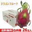 【送料無料】ベトナム産　ドラゴンフルーツ　白肉種　26玉入り（箱）