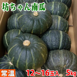 北海道産　坊ちゃん南瓜　12個〜16個入り／箱（約5kg）