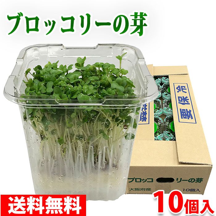 【送料無料】 大阪府産 ブロッコリーの芽 10パック入り (箱) ブロッコリースプラウト セット