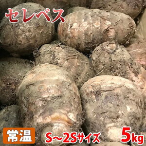 千葉県産　セレベス　S〜2Sサイズ　約5kg（箱）