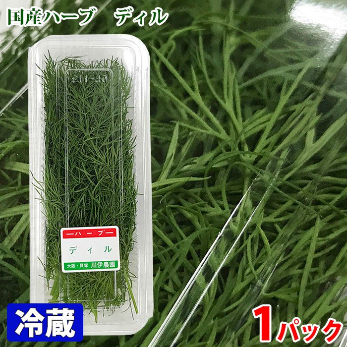 大阪府産他　食用ハーブ　ディル　約20g （パック）