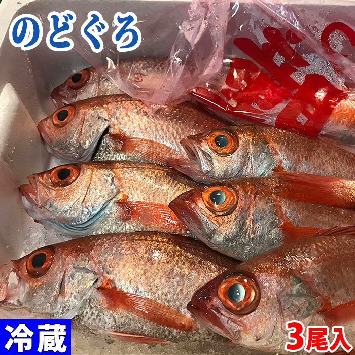 長崎県産 のどぐろ（アカムツ）3尾入り 幻の魚と称されるのどぐろ。 のどの奥の後部が黒いことからその名がついたようです。 高級魚として有名ですが、産地・漁法などにより値段は様々です。 ※1尾(約250～300g前後) 商品詳細 商品名（名称） のどぐろ（アカムツ） 内容量 3尾 産地 長崎県 販売時期 通年 発送方法 冷蔵便 同梱不可 常温・冷凍の商品との同梱はできません。