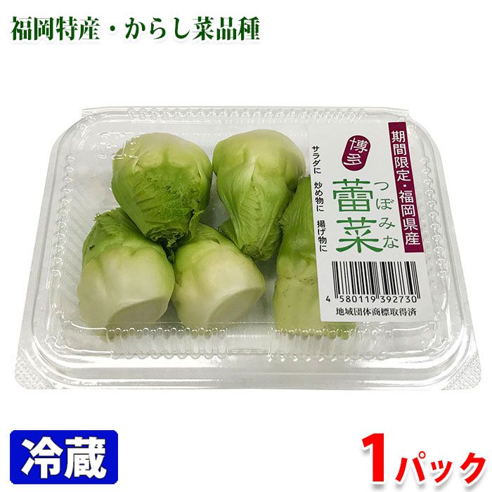 福岡県産　蕾菜 （つぼみな） 約100g パックのサムネイル