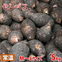 【送料無料】鹿児島県産　セレベス　M～Lサイズ　約5kg （箱）