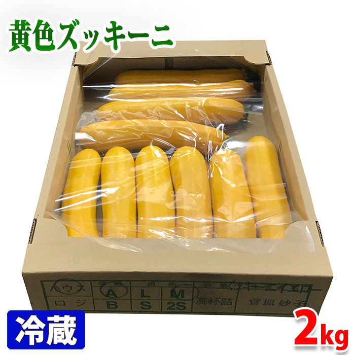 宮崎県産　ズッキーニ （黄色） 8～12本入り （箱）